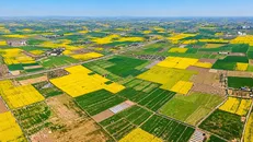 رفع تصرف ۲۱ هکتار از اراضی ملی در غرب مازندران / آزادسازی ۳.۵ هکتار ساحلی