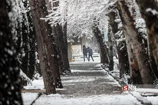 ریسش