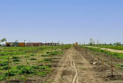 اجرای طرح&zwnj;های صنعت نفت بدون مجوز محیط زیست ممنوع شد