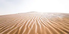 اختصاص ۳۷ میلیارد تومان به پروژه های بیابان‌زدایی در استان سیستان و بلوچستان