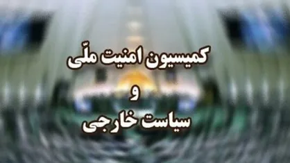 بررسی لایحه اصلاح قانون به کارگیری سلاح توسط ماموران نیرو&zwnj;های مسلح در کمیسیون امنیت ملی