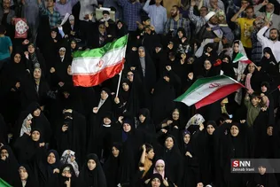 دبب