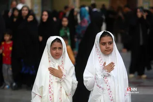 دبب
