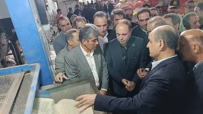 وزیر کشاورزی: مطالبات چای&zwnj;کاران تا یک هفته دیگر پرداخت می&zwnj;شود