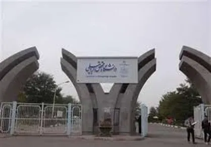 دانشگاه محقق اردبیلی، جزو دانشگاه&zwnj;های دارای بیشترین مقالات برتر دنیا شد