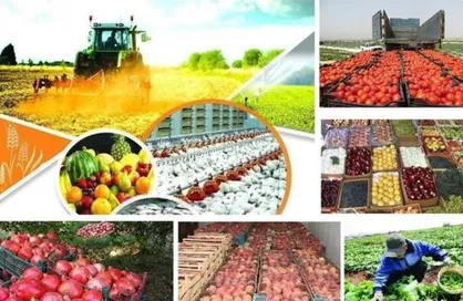 گیلان وارد مرحله جدید توسعه دریامحور می&zwnj;شود