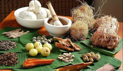 متخصصین طب ایرانی در تهران گردهم می&zwnj;آیند