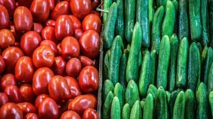 رکوردزنی گوجه&zwnj; فرنگی و خیار در کاهش قیمت