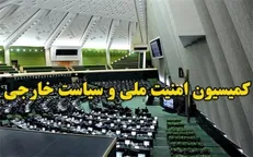 آغاز بررسی صلاحیت وزیر پیشنهادی امور خارجه / موافقت کمیسیون امنیت ملی و سیاست خارجی با امیر عبداللهیان