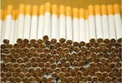 محکومیت سنگین برای قاچاقچی سیگار در یاسوج
