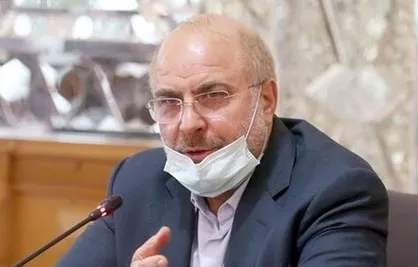 رئیس مجلس: پایه&zwnj;های اقتصاد داخلی ایران در شرایط تحریم محکم&zwnj;تر شد