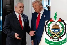 یک کارشناس بین‌المللی: حماس بهترین سناریو را در پاسخ به ترامپ برگزید