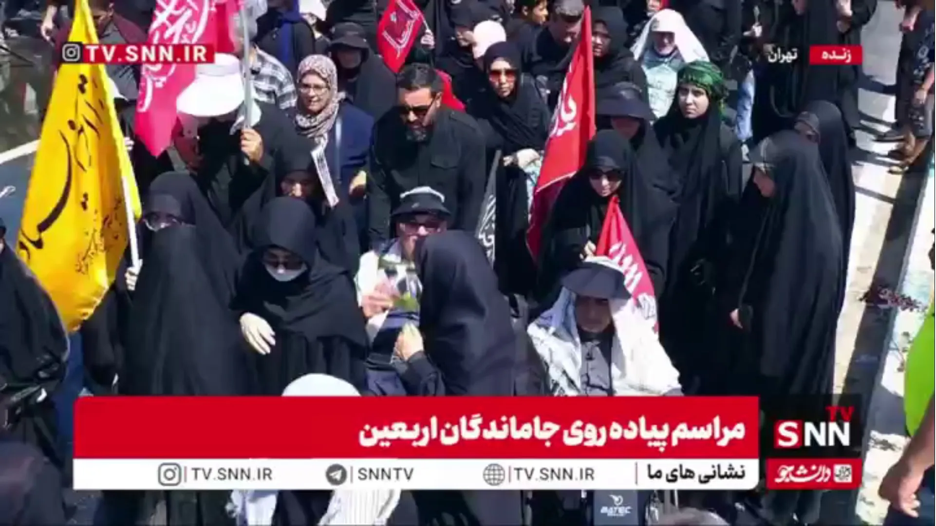 پیاده یا با ویلچر؛ همه جاماندگان پیاده‌روی اربعین آمدند