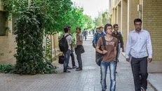 کلاس‌های آموزشی دانشگاه یزد تا اطلاع ثانوی مجازی شد