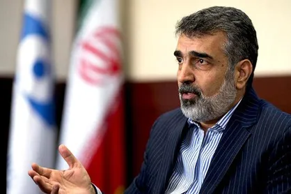 آمادگی برای همکاری با کشور&zwnj;های اسلامی در توسعه فناوری هسته&zwnj;ای