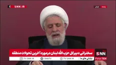 شیخ نعیم قاسم: دشمن باید کل حملات را متوقف کند و از مرز های لبنان خارج شود