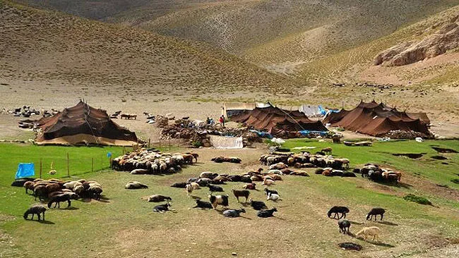 مکان‌محور شدن اطلاعات عشایر در ۱۵ استان اجرایی شد