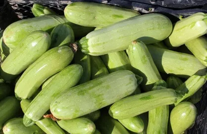 یک خوردنی کم&zwnj;کالری برای کاهش نفخ