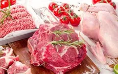 موادی برای جایگزینی گوشت قرمز