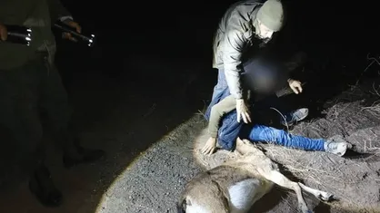 شکارچی بز کوهی در شهرستان کوثر اردبیل دستگیر شد