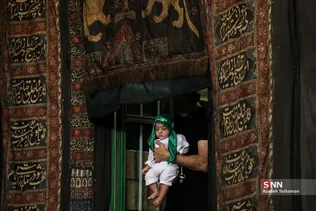 دبب