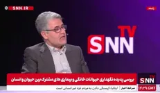 هشدار درباره خطر شیوع بیماری هاری با افزایش جمعیت سگ‌های ولگرد + فیلم