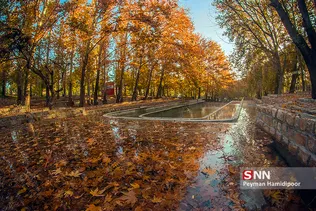 fall