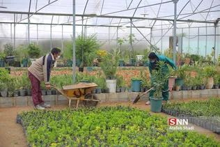 صدای پای بهار