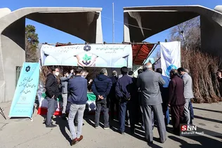 دانشگاه تهران، دانشگاه دوستدار محیط زیست