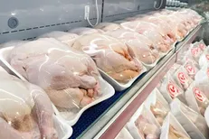 افزایش ذخیره استراتژیک مرغ