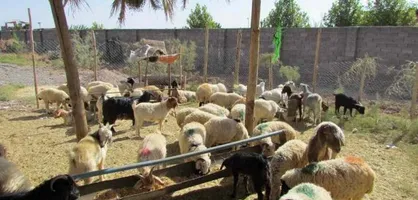 رسانه&zwnj;های صهیونیستی: تهدیدات اسرائیل صرفا در حد حرف است