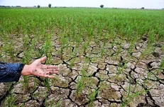 مازندران دچار تنش آبی شده است