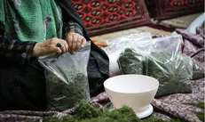 روایت دانشجوی بجنوردی که با گیاه دارویی و محصولات خانگی کارآفرین شد / شروعی بدون سرمایه اولیه!