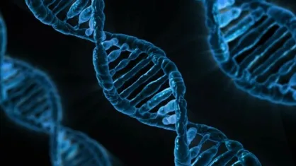 DNA از سلول گیاهی در دانشگاه بیرجند استخراج شد
