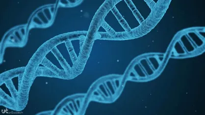 ساختار جدیدی از DNA ویروس&zwnj;ها را به دام می&zwnj;اندازد
