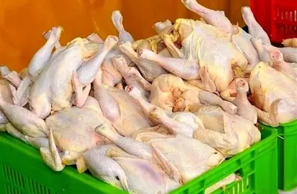 توزیع ۶۰۰ تن مرغ گرم و منجمد به بازار از این هفته