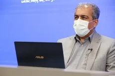 امیری: دوره نهفتگی آبله میمونی ۵ تا ۲۱ روز است / هیچ مورد احتمالی در کشور شناسایی نشده