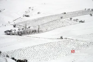 طبیعت برفی