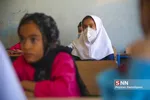 جهادی