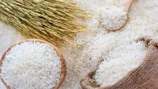 قیمت برنج در ماه رمضان تغییر نمی‌کند