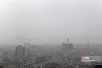 یبت