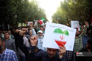 دبب