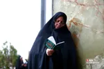 دبب