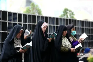 دبب