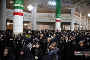 دبب