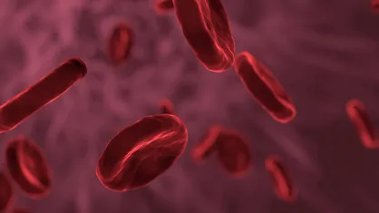 نانوپیمایشگری برای تعیین دقیق میزان آهن در بدن ساخته شد
