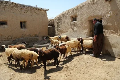 بازگشت با &laquo;برکت&raquo; ۶۲۵۰ خانواده به روستا