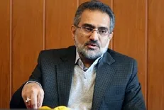 حسینی: بازشناسی و معرفی وقایع مهم تاریخی، درس آموز و هویت بخش است