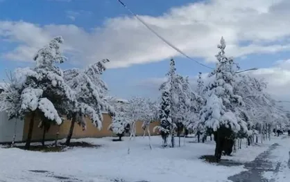 سرمای زیر صفر و یخ&zwnj;بندان در ۲۵ استان