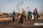 تعزیه میدانی صحرارود فسا